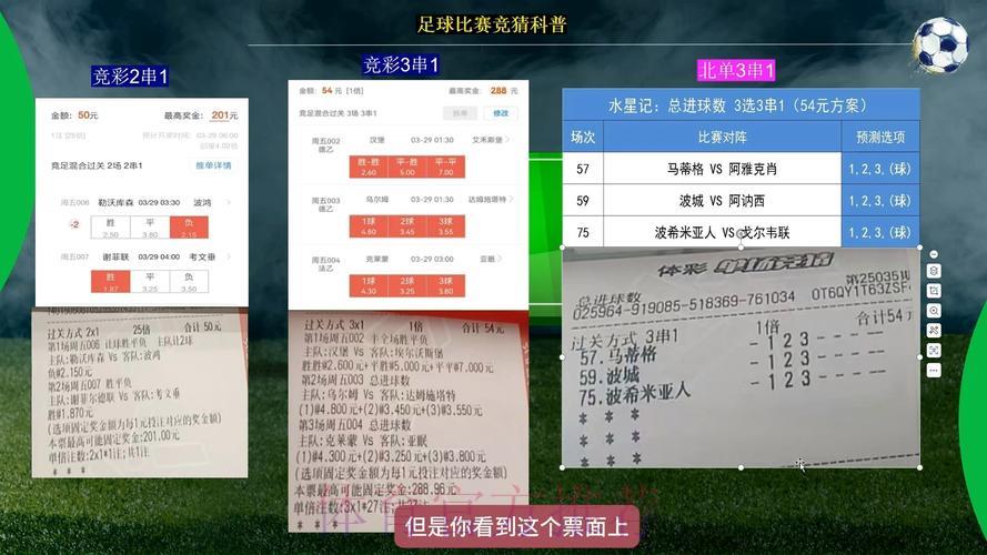 世界杯竞猜软件：初学者福利方案深度解读