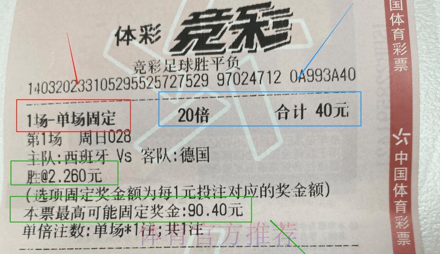 世界杯体育彩票投注指南：掌握技巧轻松提高中奖概率
